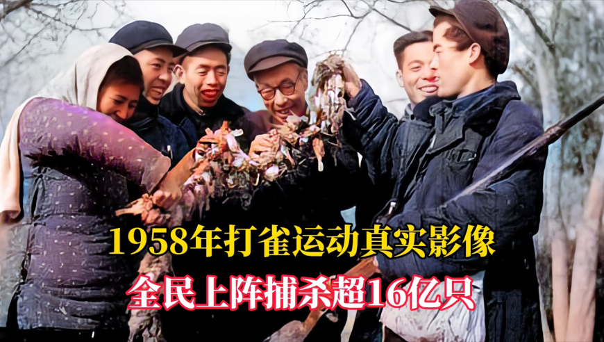 这封春天的来信你收到了吗,今晚上开什么号澳门特马开奖,典故解疑_增强版V9.36