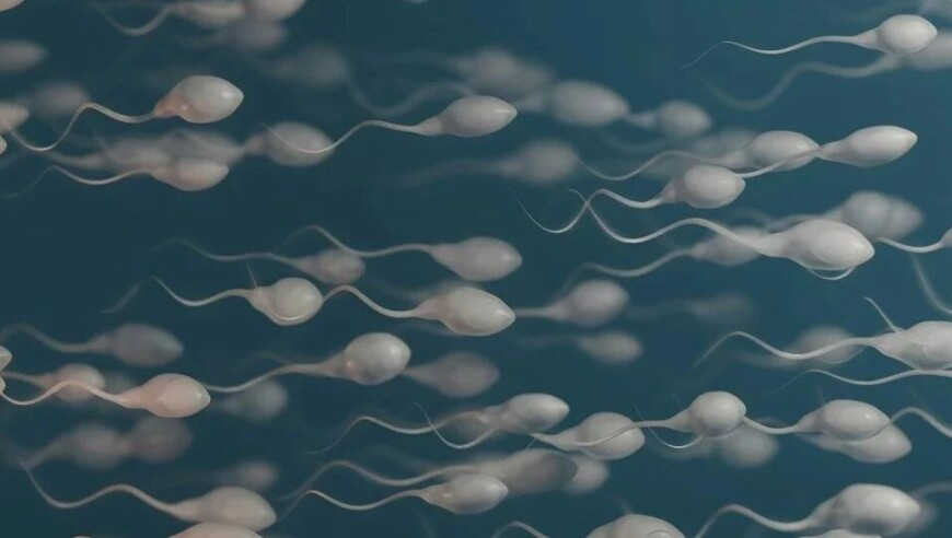 管家婆正版今晚开奖结果澳门六开彩资料查询最新20252025新澳门天天开好彩大,南师大环境学院官网崩了,最新热门解答落实_完整版V2.25